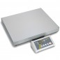 Balance plateforme, charge utile maximum 60 kg, lecture 20 g