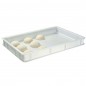 Bac en plastique pour balles à pizza, 600x400x70 mm