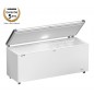 Congélateur bahut blanc, capacité utile 542 Litres - Liebherr