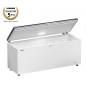 Congélateur bahut blanc, capacité utile 542 Litres - Liebherr